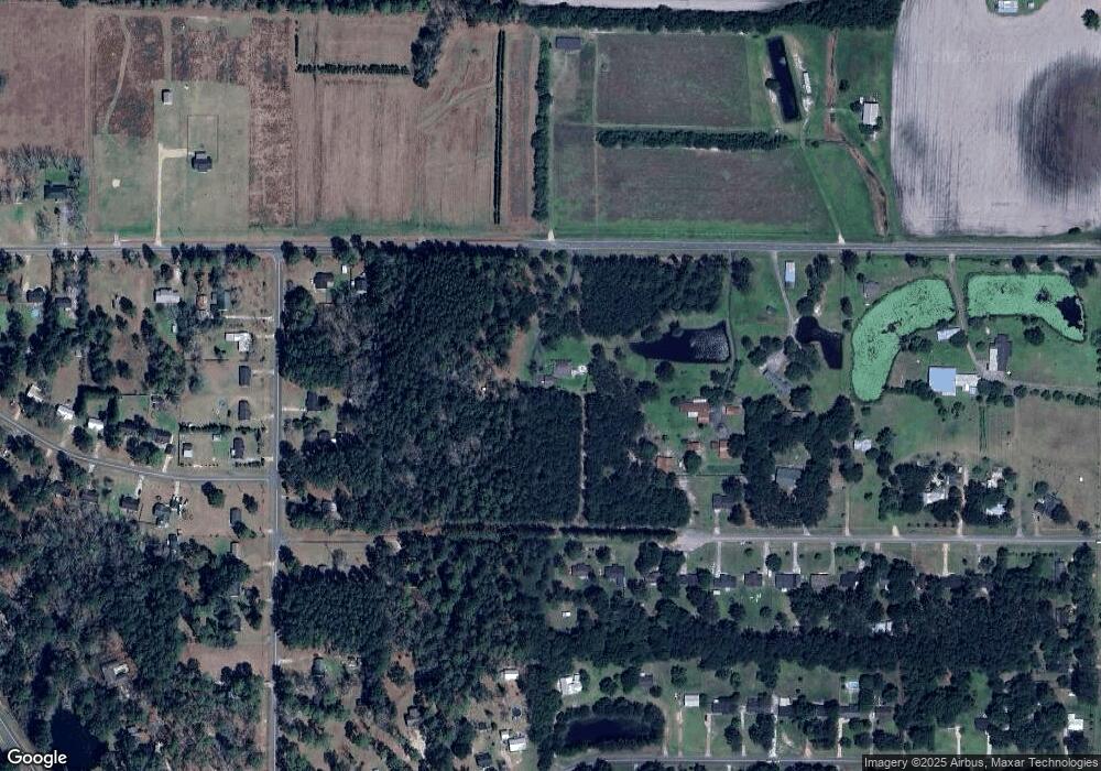 1930 Dixie Chastain Rd, Ochlocknee, GA 31773 - photo 1