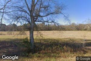2619 Scr 128, Raleigh, MS 39153