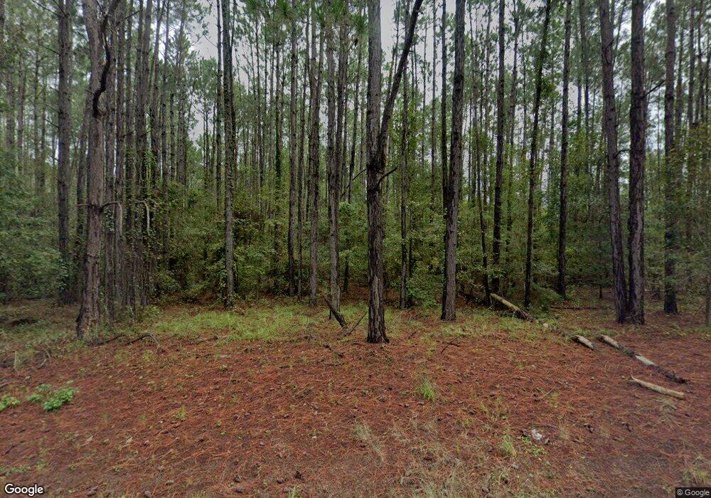 13 Murphy Rd, Surrency, GA 31563 - photo 1