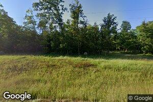 34791 Hubble Pond Rd, Rochert, MN 56578