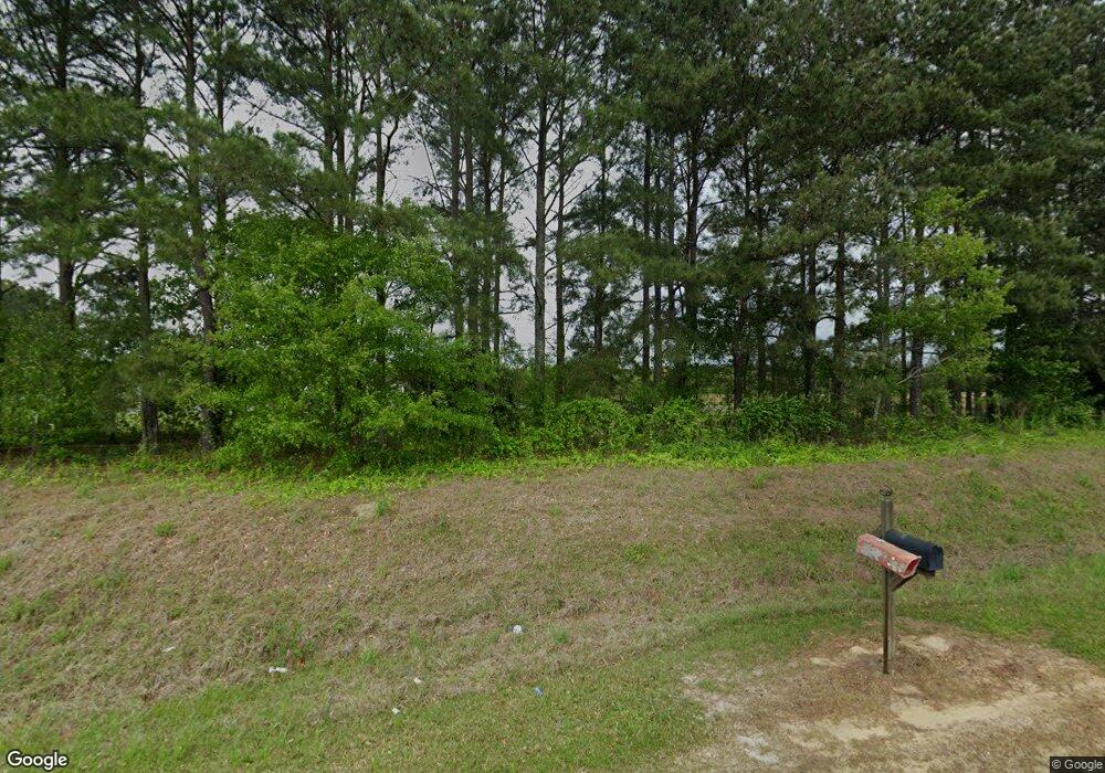 288 Old Newton Rd, Pelham, GA 31779 - photo 1