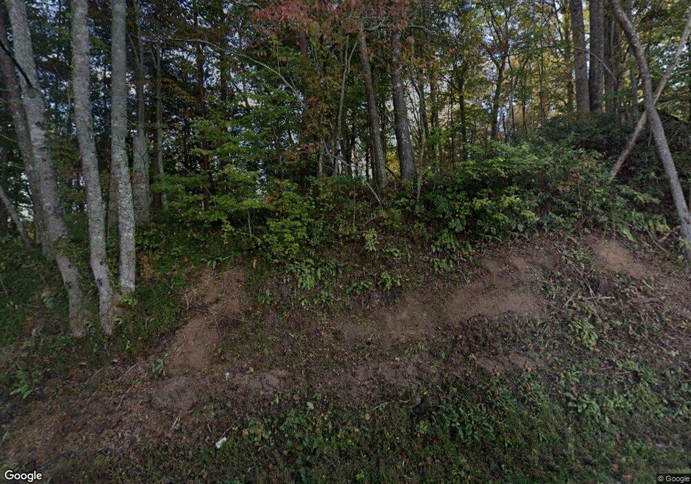 784 Salem Rd, Mineral Bluff, GA 30559 - photo 1