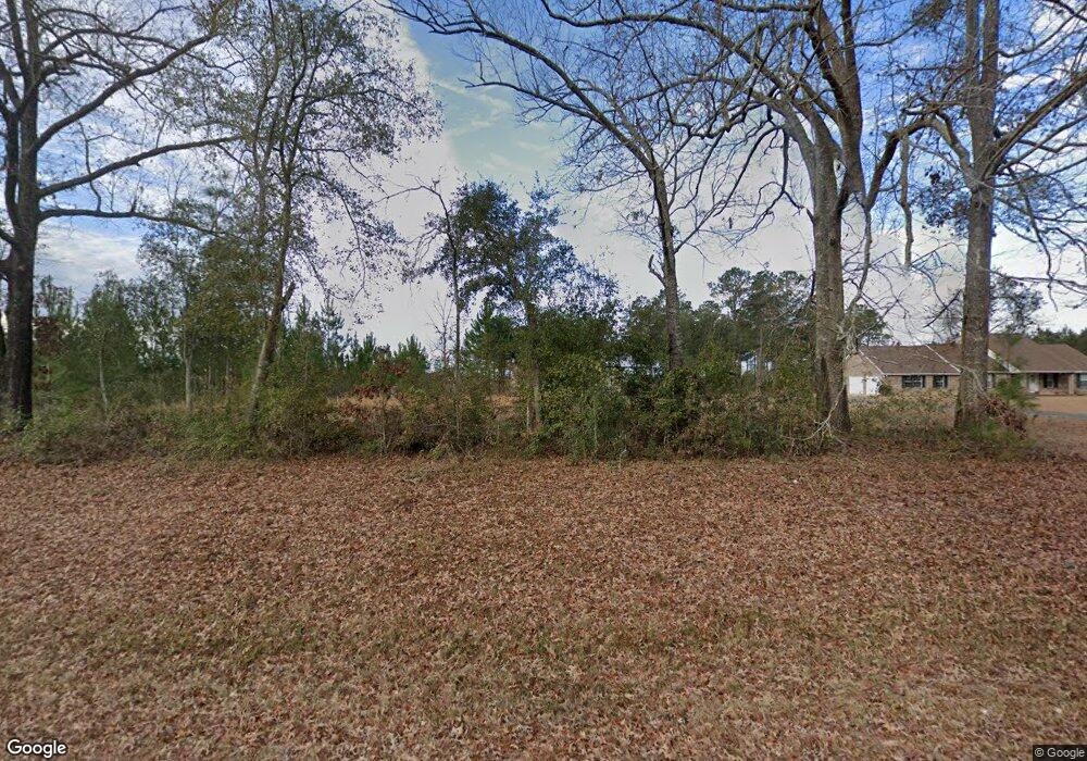 4040 Lake Douglas Rd, Climax, GA 39834 - photo 1