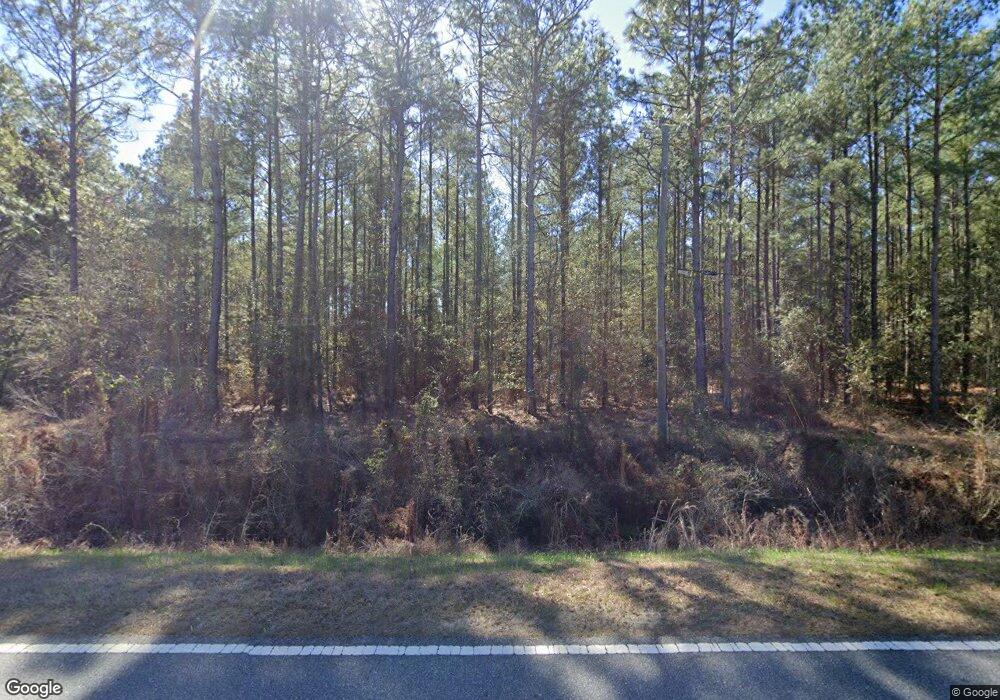 3073 Mount Zion Rd, Camilla, GA 31730 - photo 1