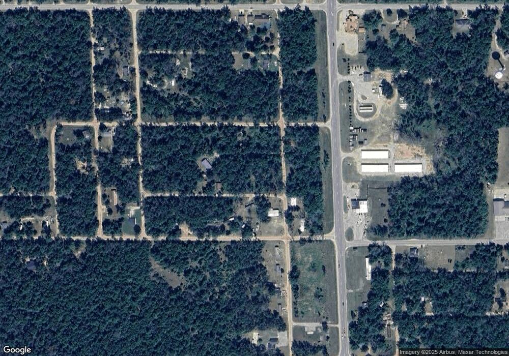 2605 W Lake Murray Dr, Baldwin, MI 49304 - photo 1