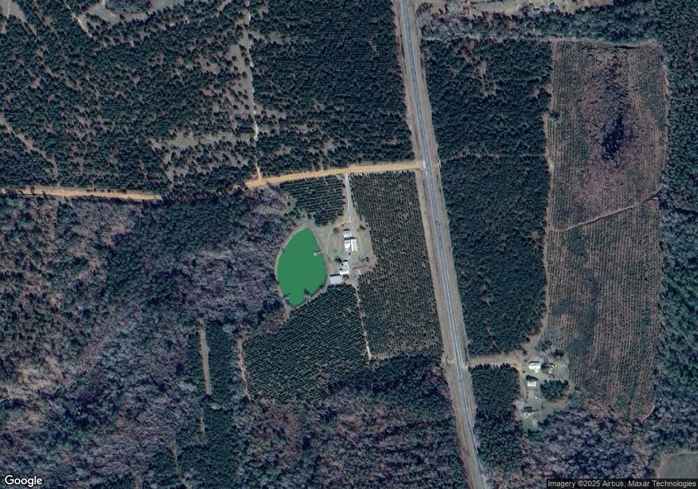 71 McDonald Paulk Rd, Willacoochee, GA 31650 - photo 1