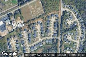 20 Featherfoil Ct, Chapin, SC 29036