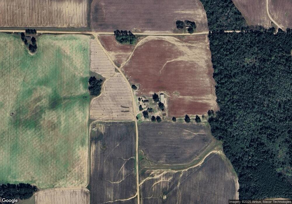 3015 Adkinson Rd, Damascus, GA 39841 - photo 1