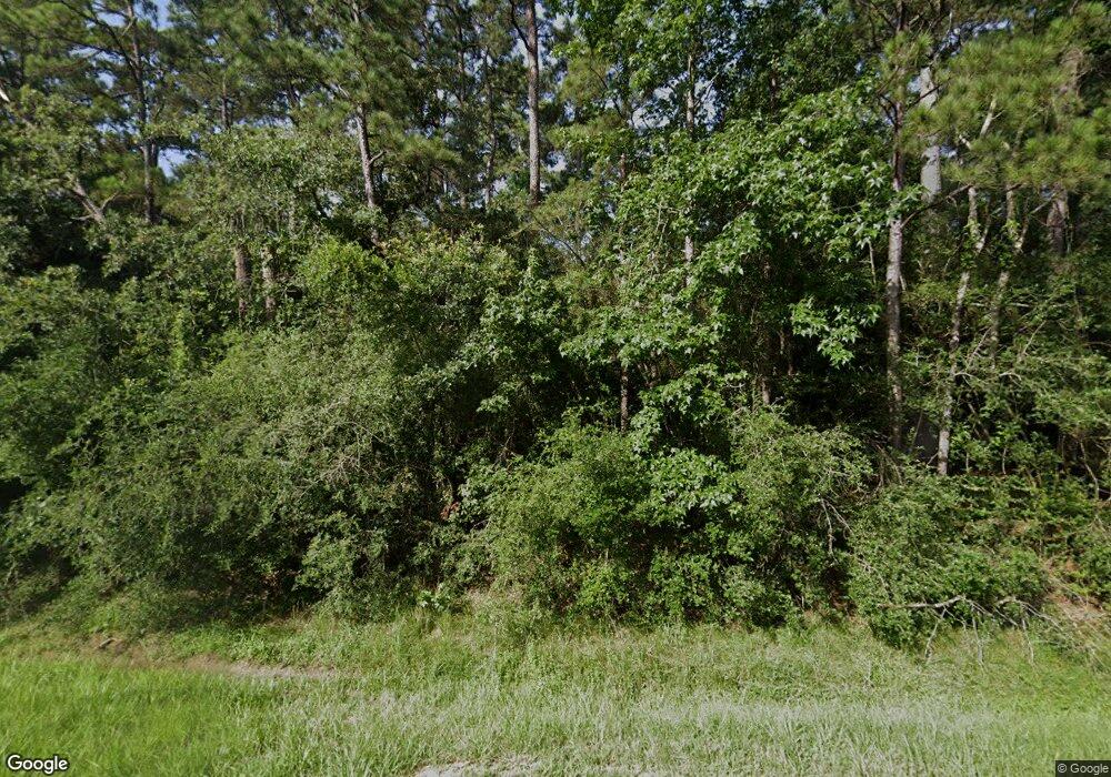 166 the Woodlands, the Woodlands, TX 77381 - photo 1