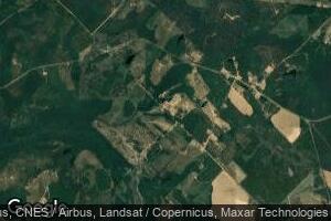 300 Jay Bird Helena Dirt Rd, Helena, GA 31037