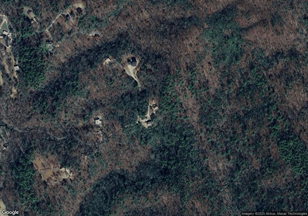 492 Dogpatch Ln, Blue Ridge, FL 30513 - photo 1