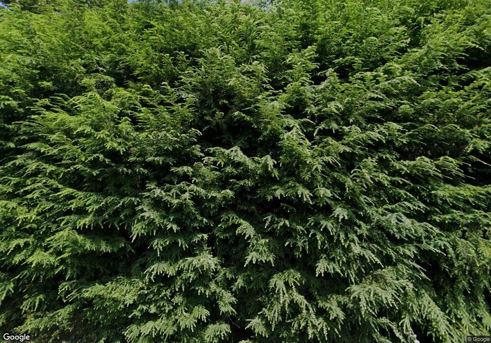 25 Sagamore Rd, Wellesley Hills, MA 02481 - photo 1