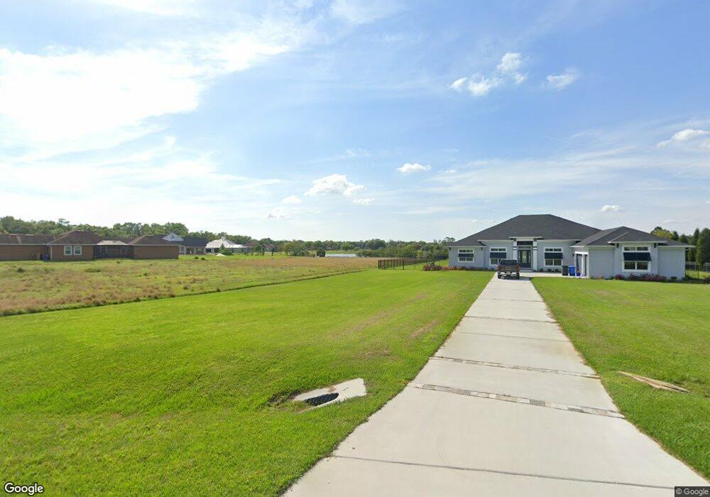 13026 McIntosh Lakes Ln, Dover, FL 33527 - photo 1