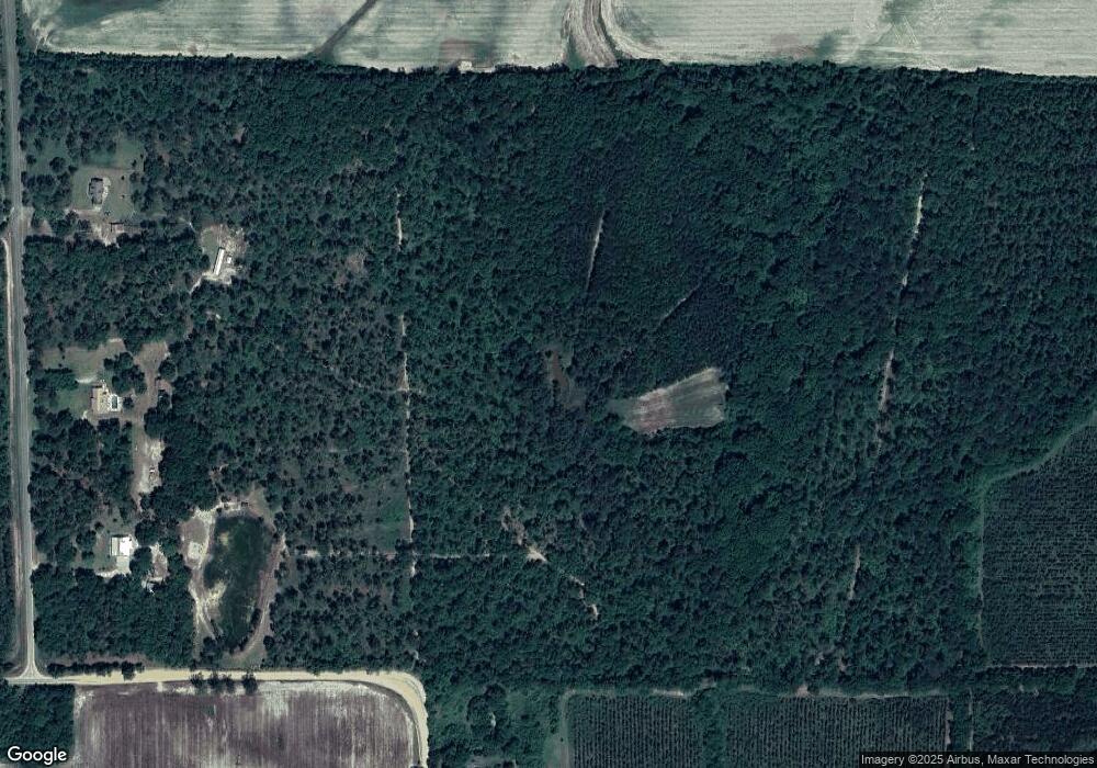 8852 Narrow Leaf Rd, Doerun, GA 31744 - photo 1