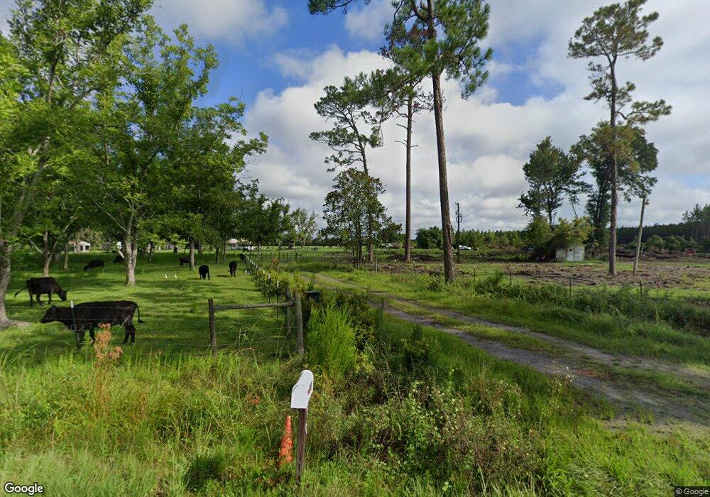 3834 Valdosta Hwy, Waycross, GA 31503 - photo 1