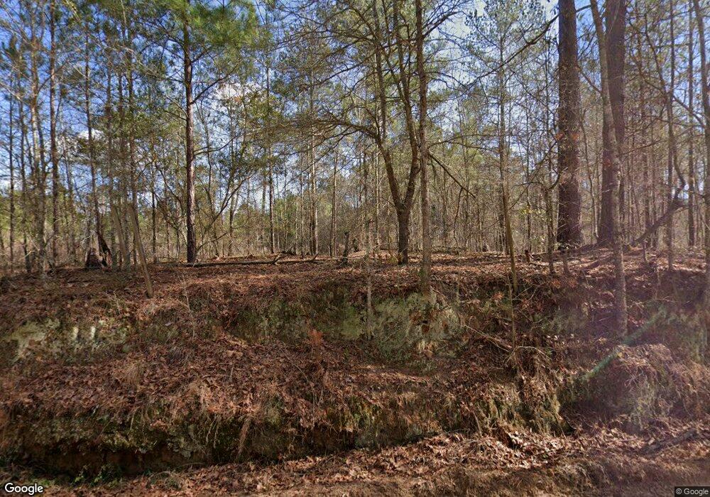 1505 P T Salter Rd, Sumner, GA 31789 - photo 1