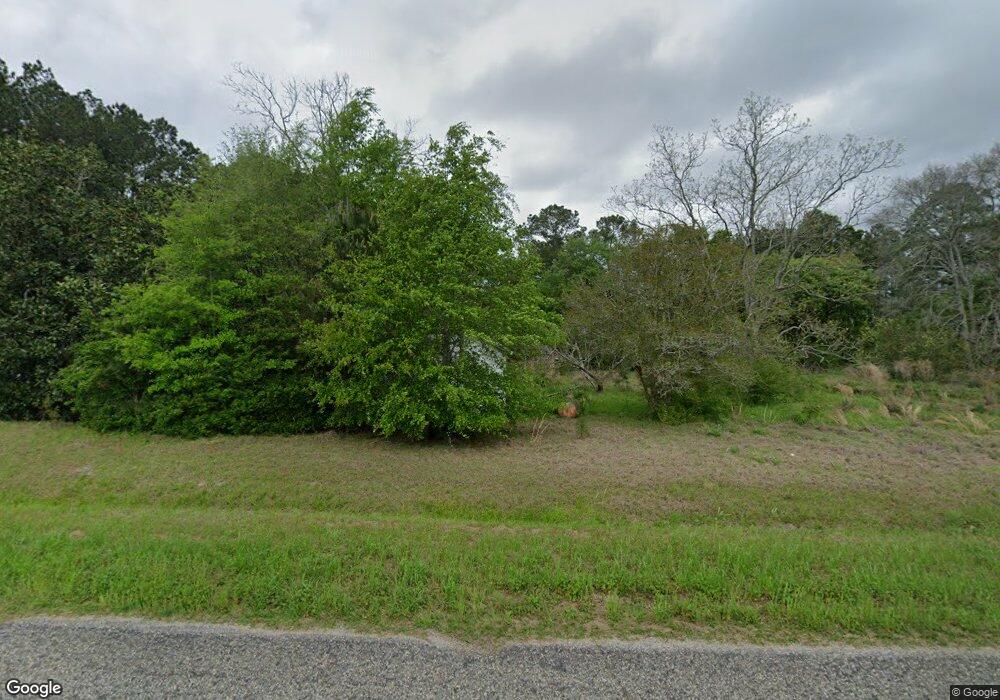 1129 Spence Rd, Pelham, GA 31779 - photo 1