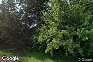 27305 310th St, Bigelow, MN 56117