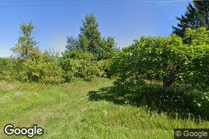 4262 E Sugar Grove Rd, Custer, MI 49405