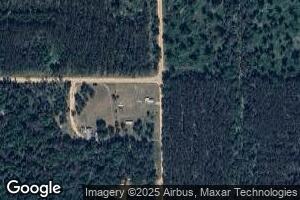 2049 S Astor Rd, Baldwin, MI 49304