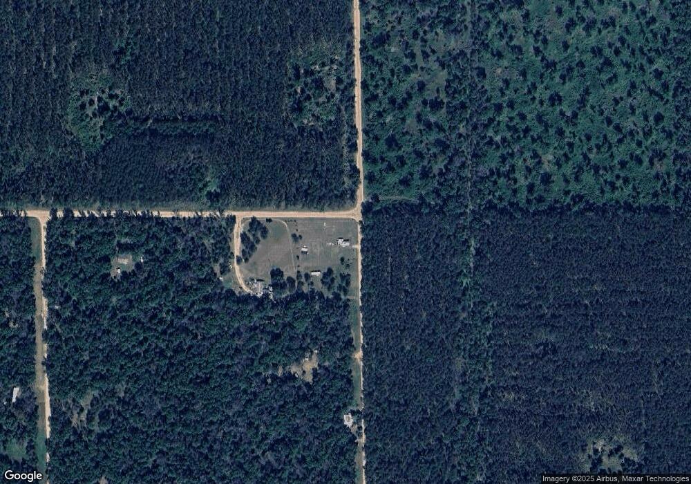 2049 S Astor Rd, Baldwin, MI 49304 - photo 1