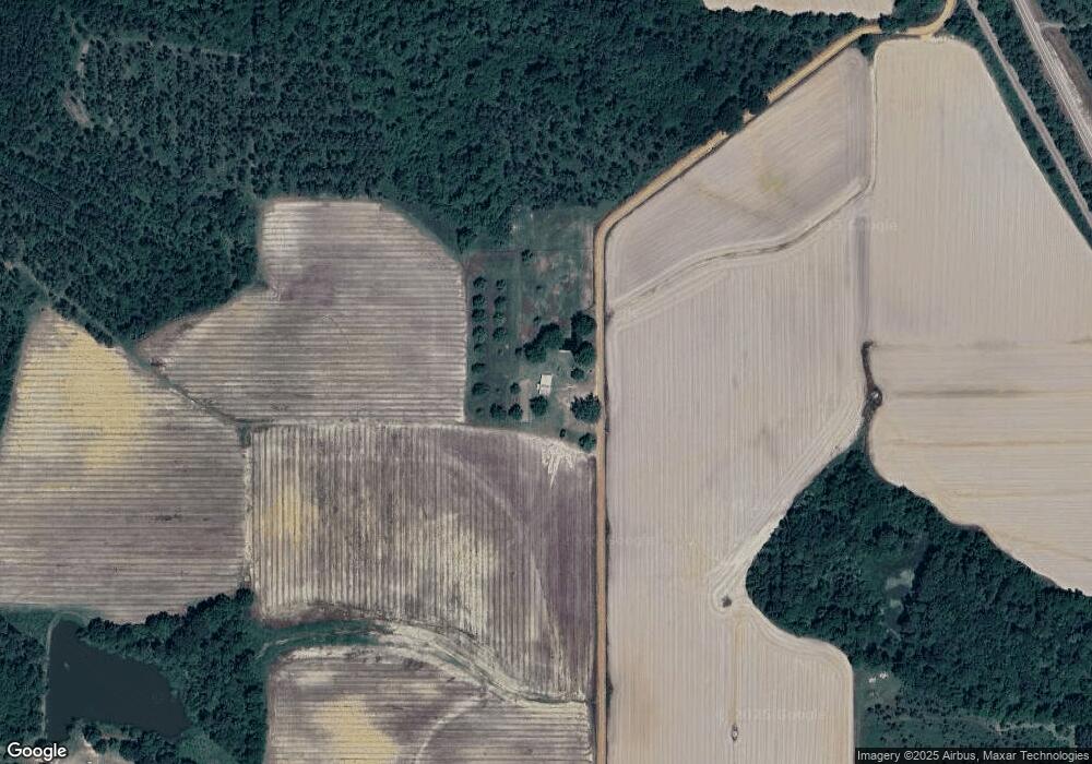 312 Dona Turner Rd, Doerun, GA 31744 - photo 1