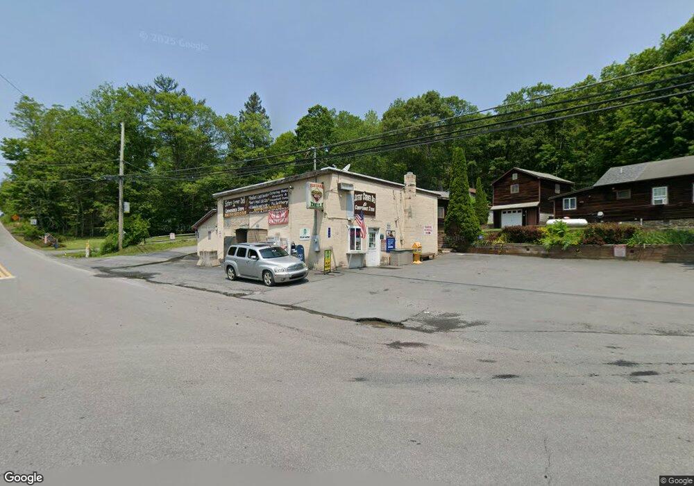 229 Silver Lake Rd, Dingmans Ferry, PA 18328 - photo 1