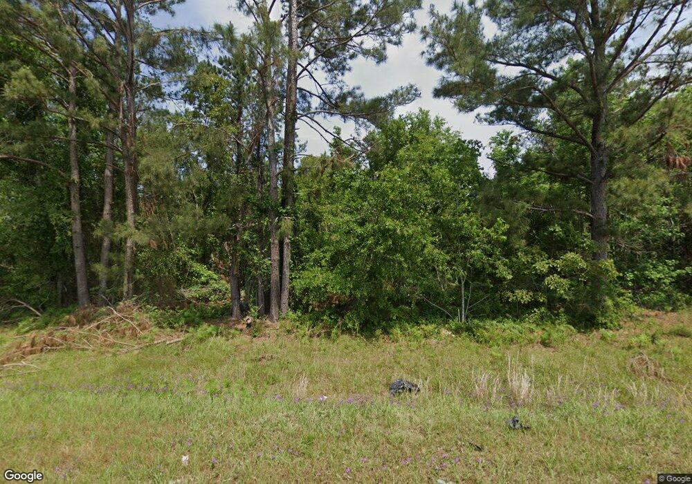 3930 Lindsey Merritt Rd, Wray, GA 31798 - photo 1