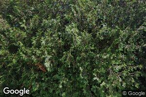 M10L29A4A5 Miller Ln, Surry, ME 04684