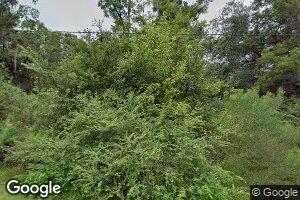 14086 NE 141st Dr, Waldo, FL 32694