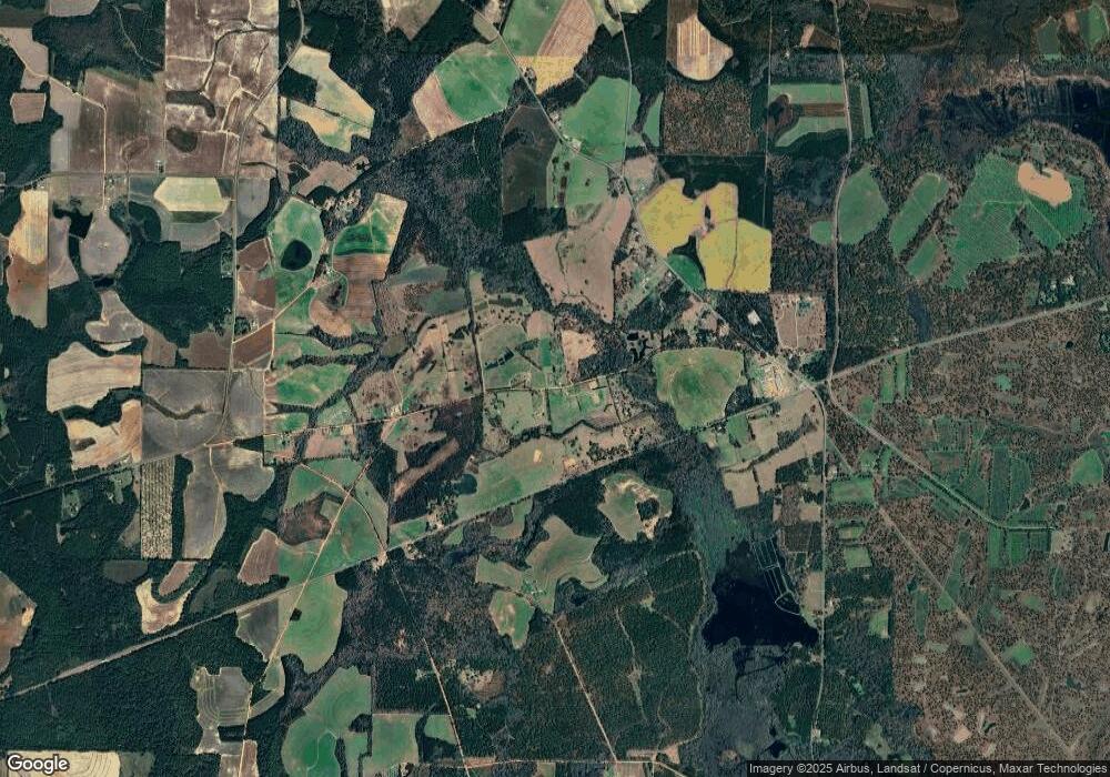 000 Old Pavo Rd, Pavo, GA 31778 - photo 1