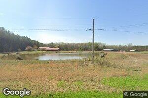 1295 Barren Springs Rd, Hollow Rock, TN 38342