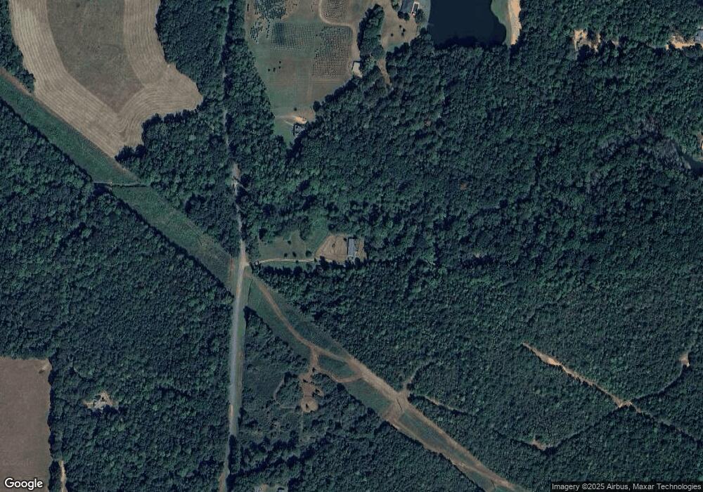 1055 Williams Mill Rd, Zebulon, GA 30295 - photo 1