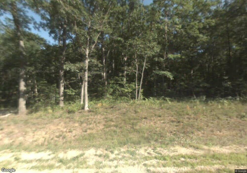 567 Hayes St, Bitely, MI 49309 - photo 1