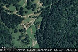 463 Lick Run Rd, Sand Fork, WV 26430