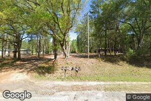 5381 County Line Rd, Pelham, GA 31779