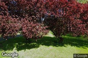 33935 Mcfarland Rd, Tangent, OR 97389