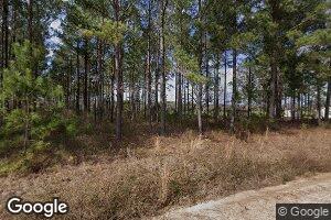 1337 Cuffie Town Rd, Warwick, GA 31796