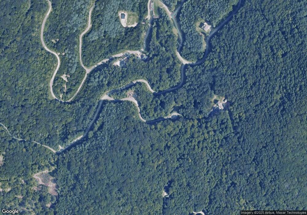 20 Pitch Pine Dr unit 62, Leicester, NC 28748 - photo 1