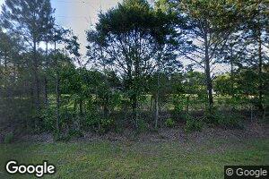 687 Bodie Carpenter Rd, Millry, AL 36558