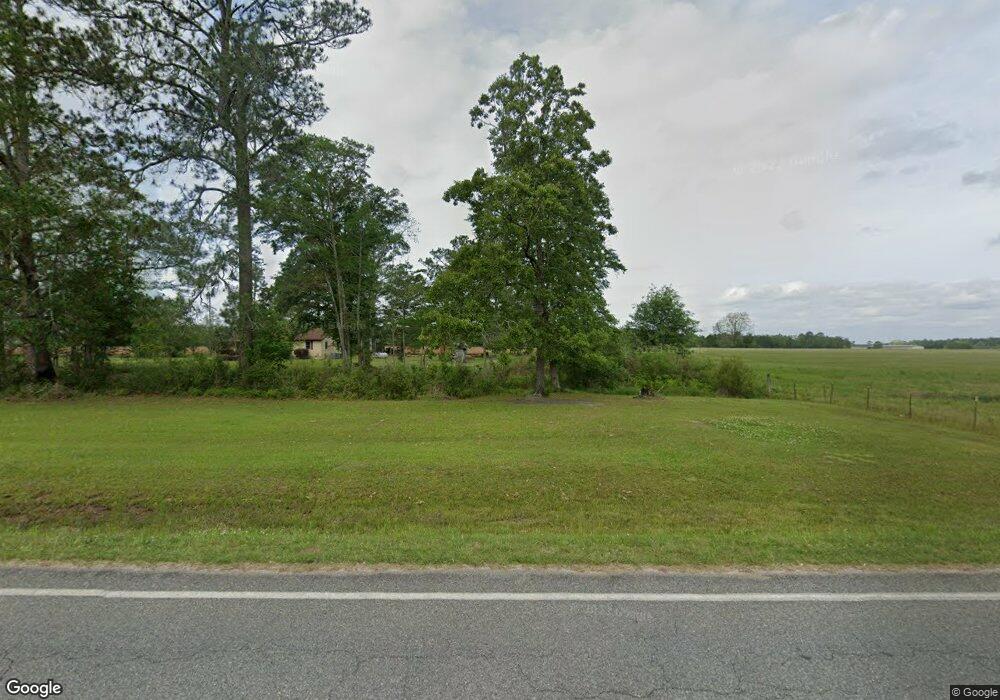 17713 Ga Highway 33, Pavo, GA 31778 - photo 1