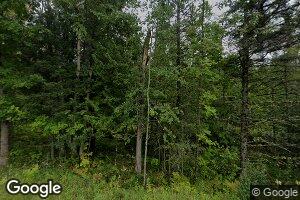 N13280 County Road 577, Daggett, MI 49821