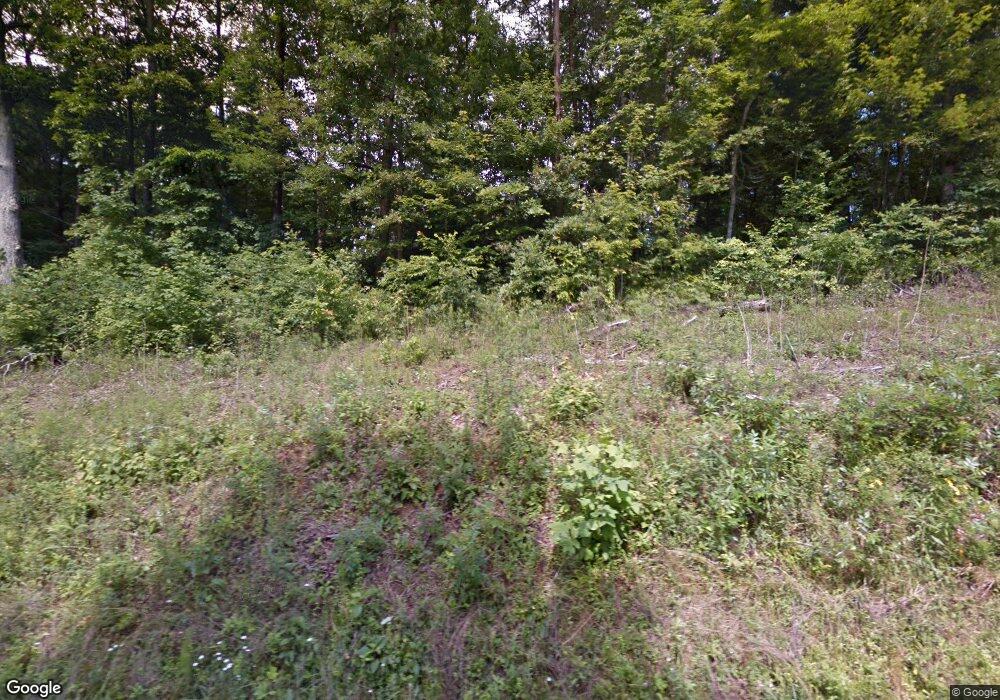 452 Old Jerusulem Rd, Mineral Bluff, GA 30559 - photo 1