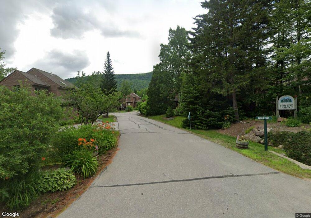 19 Bobcat Way unit L1B, Waterville Valley, NH 03215 - photo 1