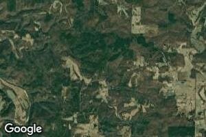 0 Texas Tower Unit MIS25048900, Licking, MO 65542