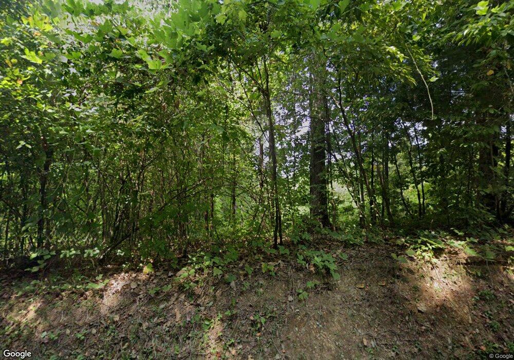 2500 Craigtown Rd, Ellijay, GA 30540 - photo 1