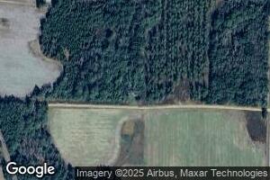 197 Langs Rd, Morgan, GA 39866