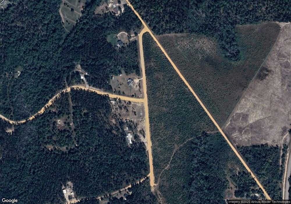 611 Easy Street Extension, Ailey, GA 30410 - photo 1