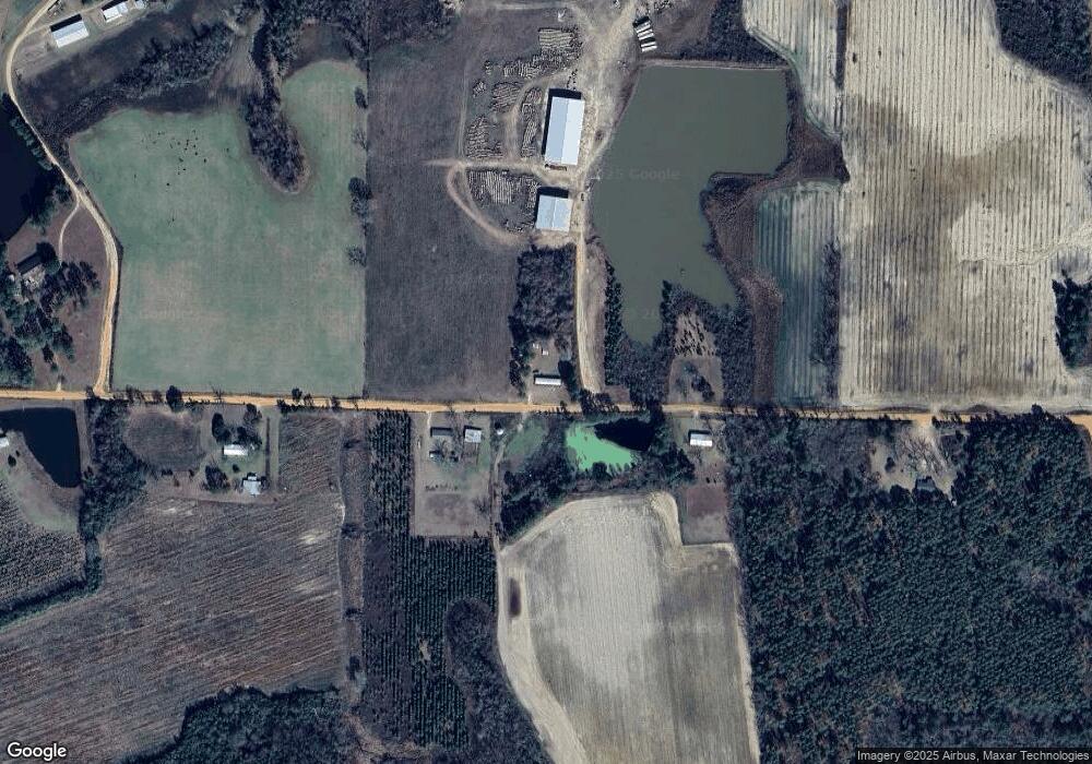 1310 Pebble Rock Rd, Ambrose, GA 31512 - photo 1