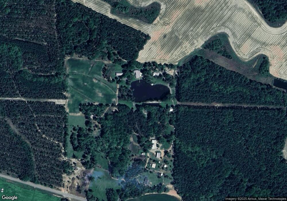 1874 Ga Highway 32 E, Wray, GA 31798 - photo 1